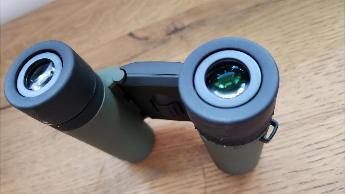 view of eyepieces