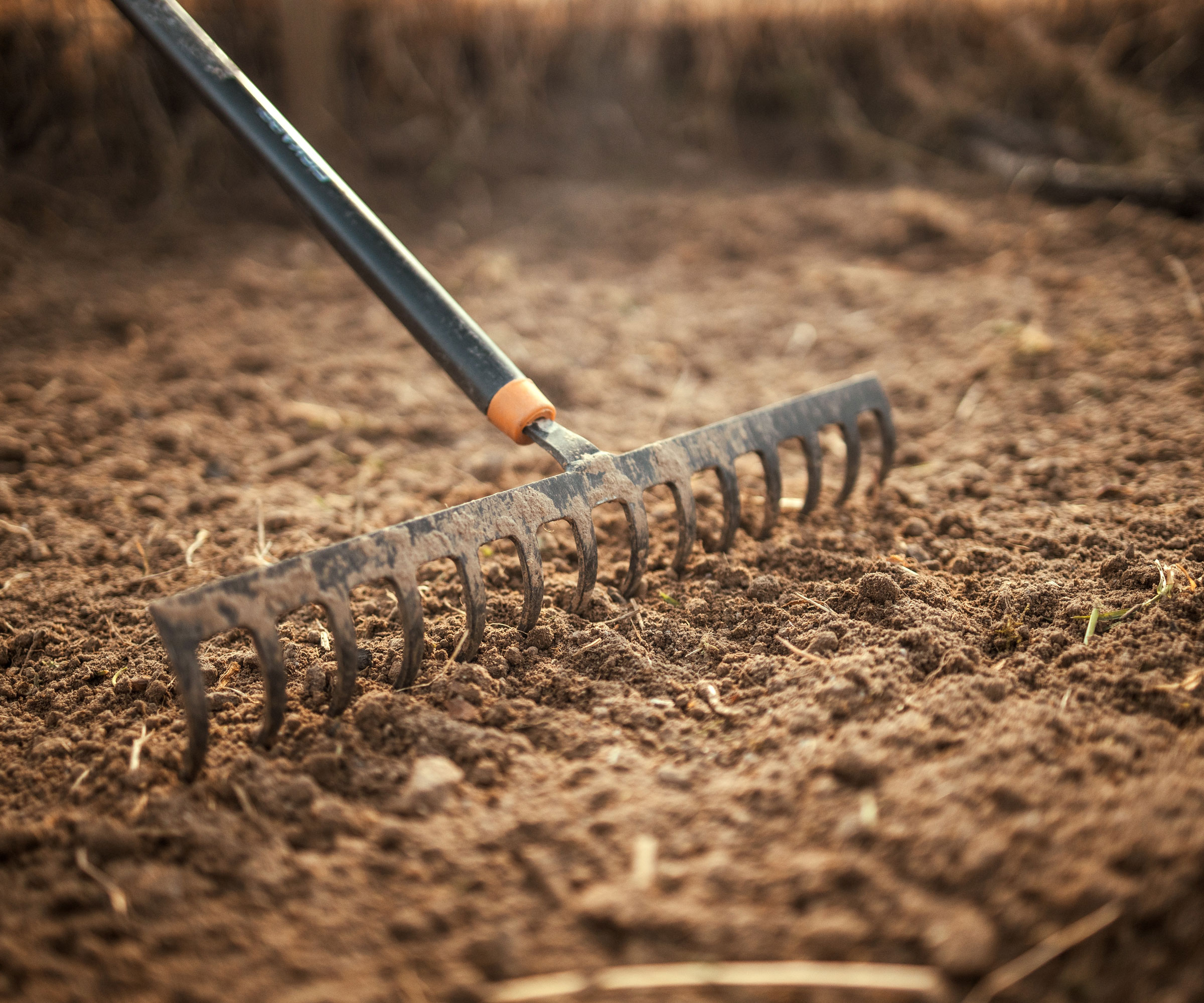 rake being used on garden soil