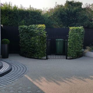 gated area with wheelie bins and hedge
