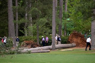 A fallen tree at the 2023 Masters