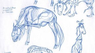 Art techniques: sketches of animals