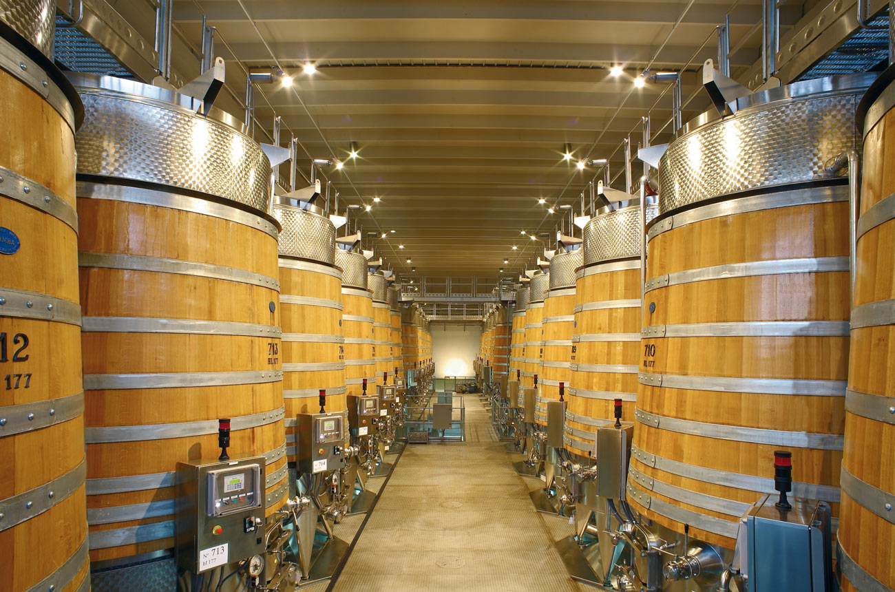 Banfi Horizon Vinification Centre