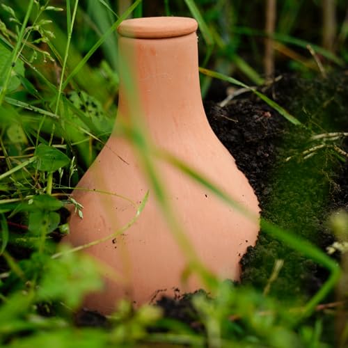 Chimney Sheep 1l Olla Natural Terracotta Irrigation Pot