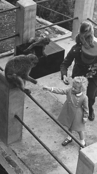 Princess Anne as an infant feeding monkeys