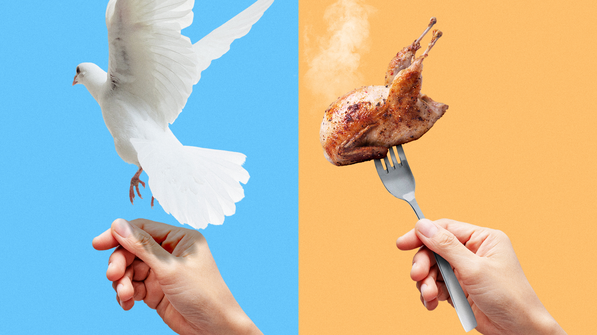 Diptych illustration of a hand letting a dove fly free, and another with a roasted bird on a fork