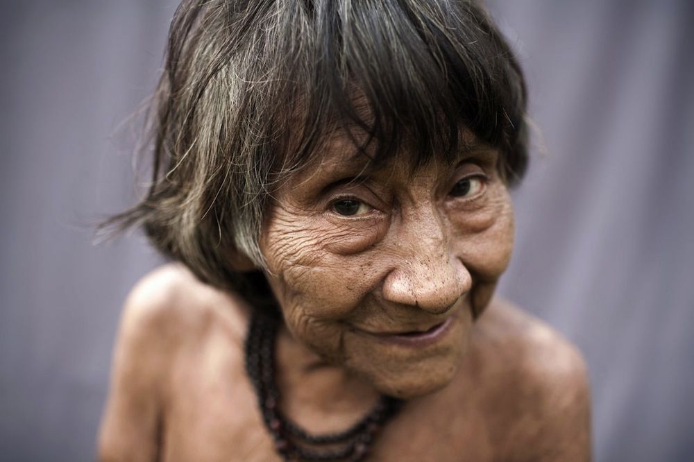 The oldest member of the Aw&amp;#225 tribe of Brazil.