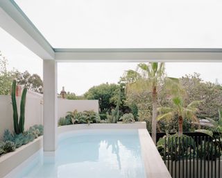 South Yarra House swimming pool