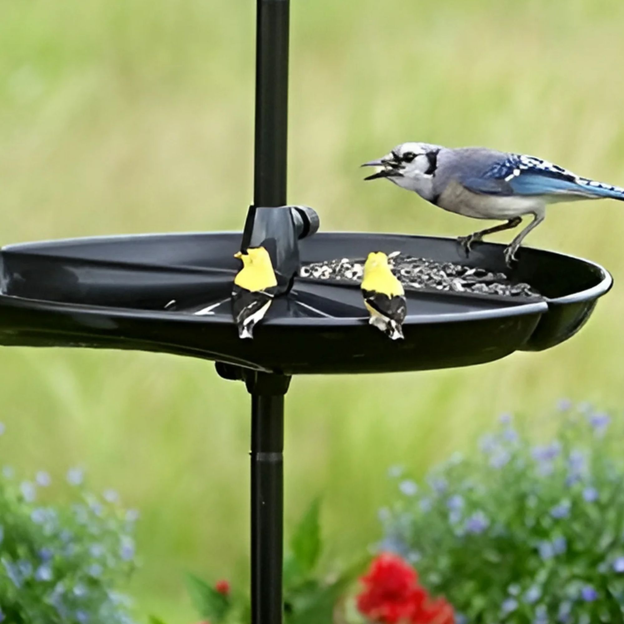Black bird feeder tray