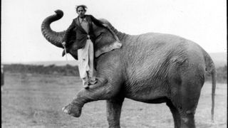 Man stands on elephant's leg