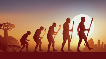 An illustration of a primate ancestor evolving into a human with a sunset in the background