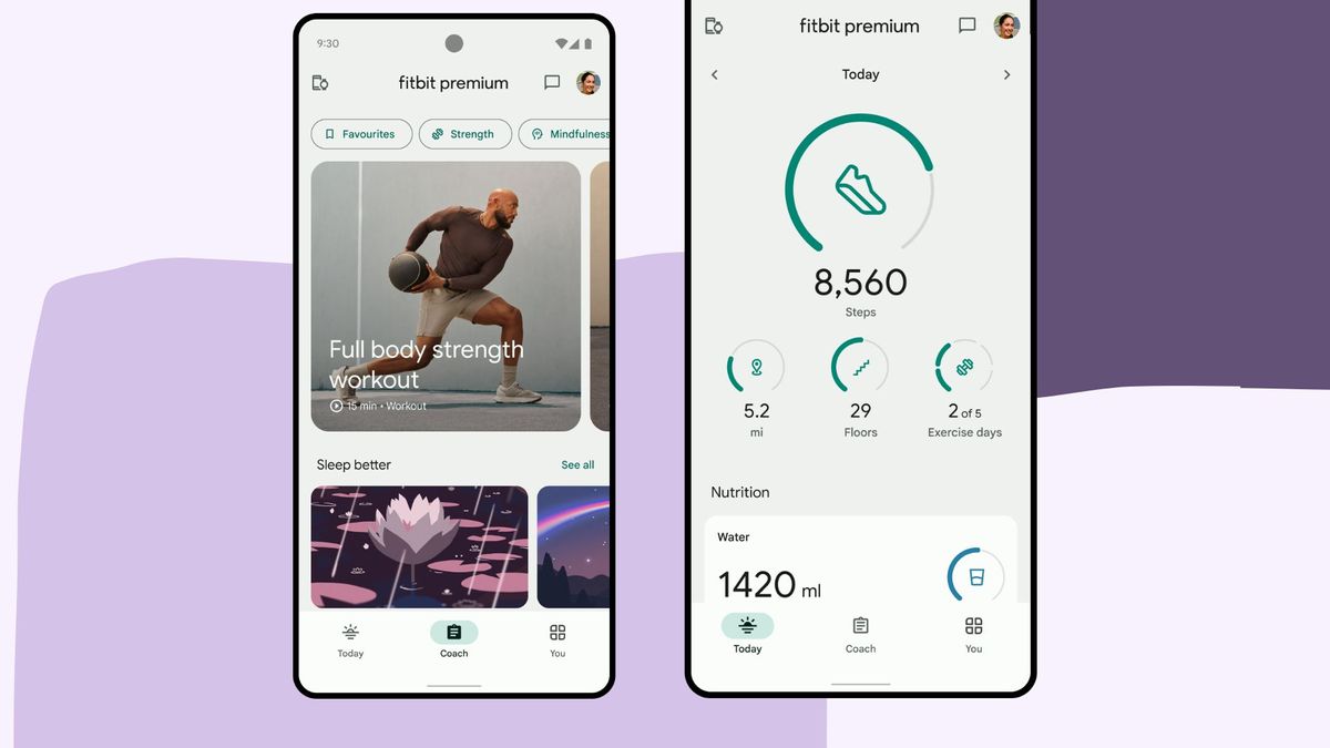 Fitbit Premium vs free Difference and is it worth it 2025? Woman & Home