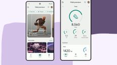 Fitbit Premium vs free, screenshots of the workouts on app and insights into steps and water drunk