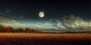 autumn moon