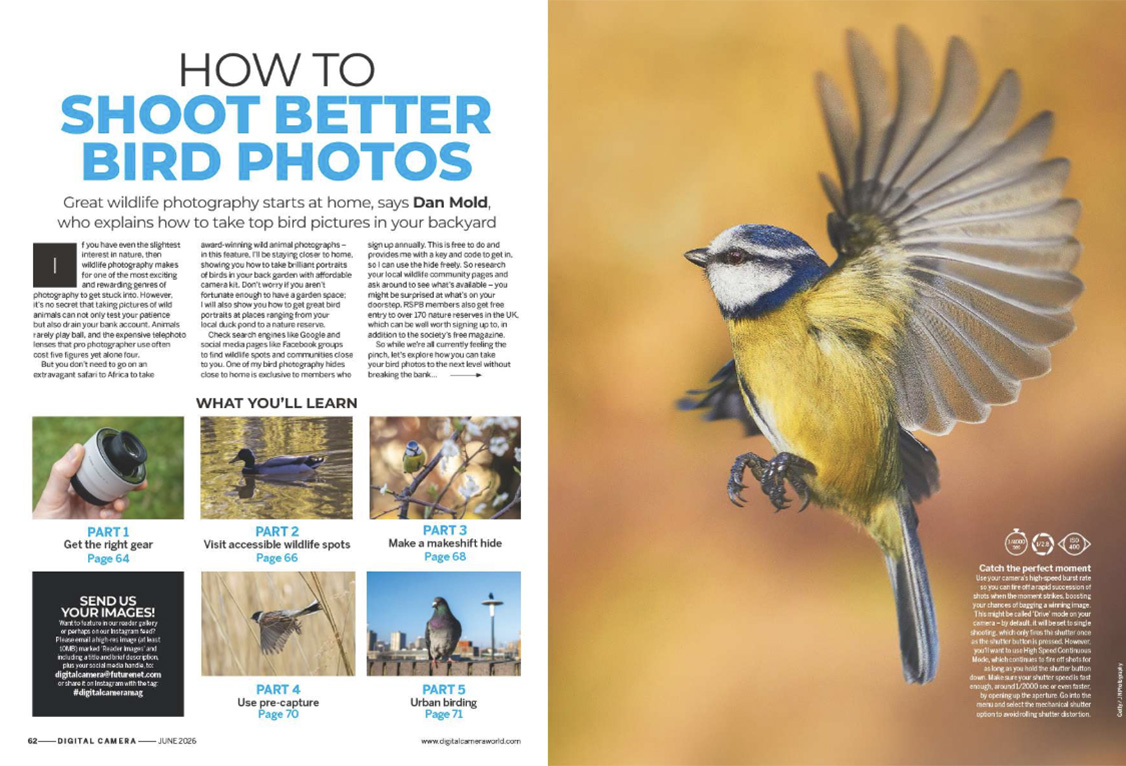 Image showing the first two pages of the feature of issue 308 (June 2026) of Digital Camera magazine &amp;ndash; how to take better photographs of birds