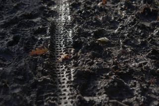 Tyre tracks in the mud