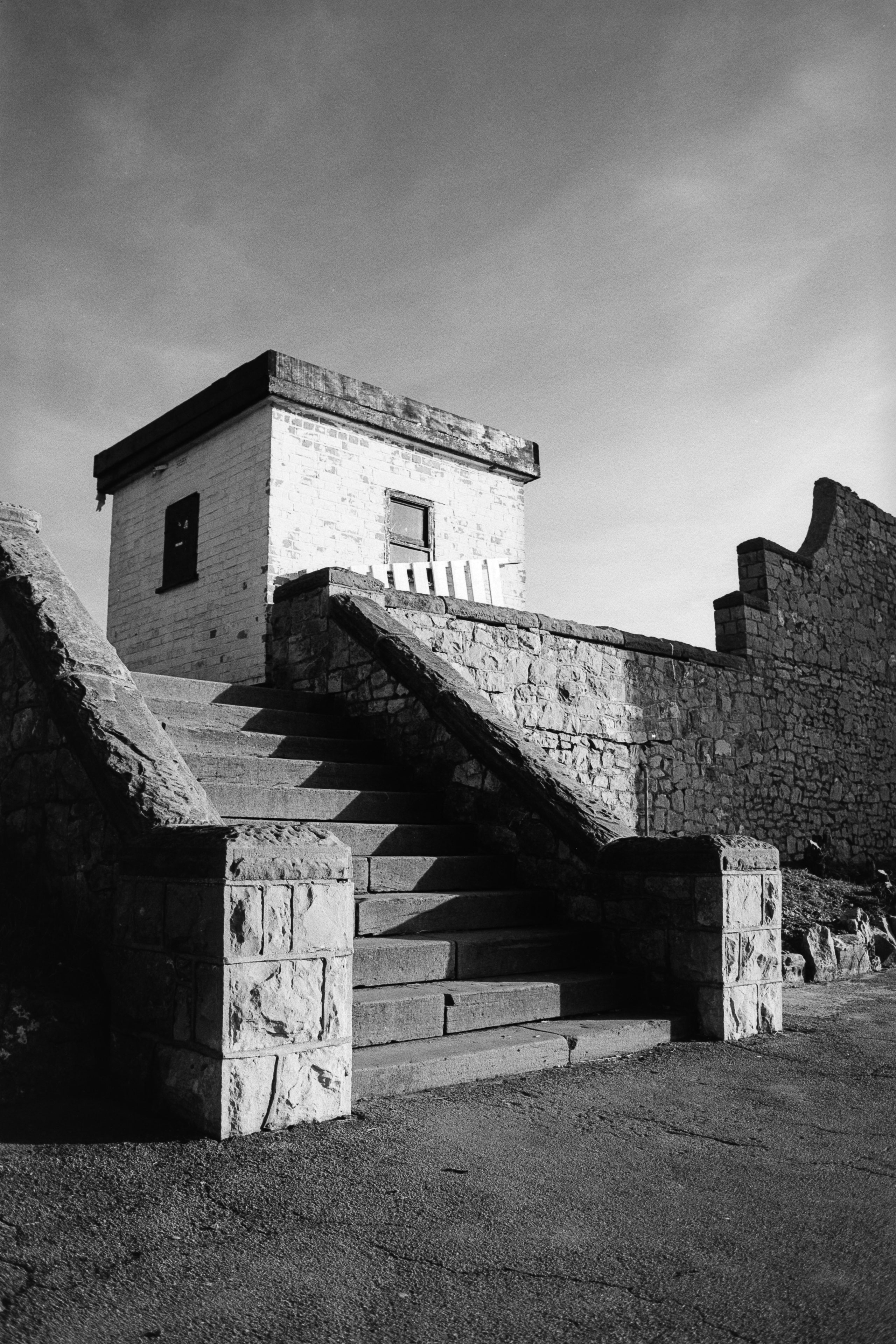 Black and white film