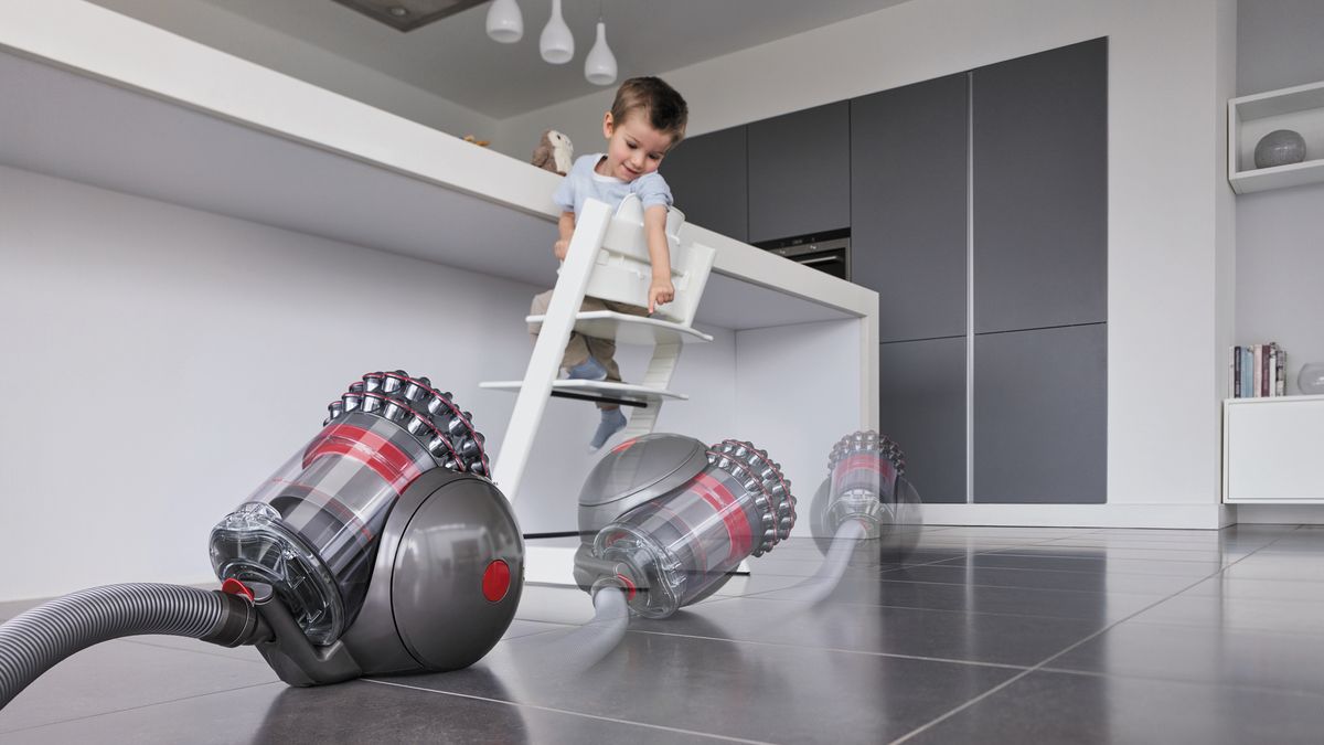 Langt væk belastning Rough sleep Dyson Big Ball Animal 2 review: king of the Dyson cylinder vacuum cleaners  | T3