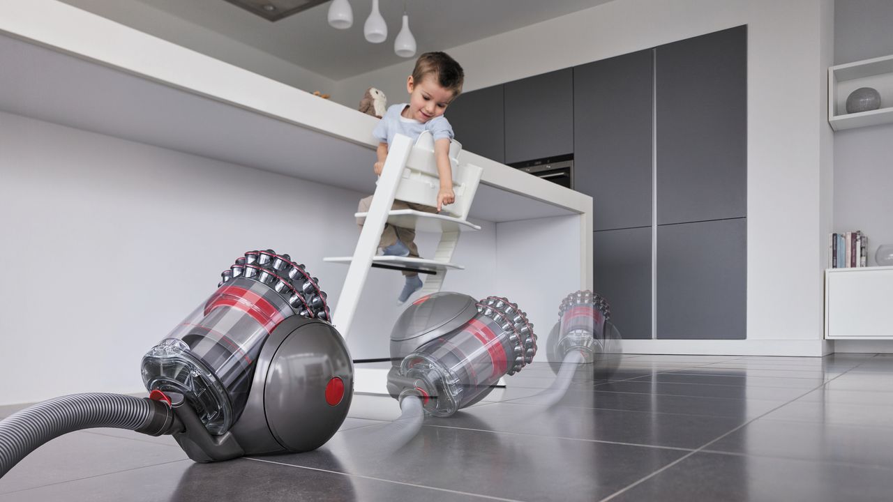 Dyson Big Ball Animal 2