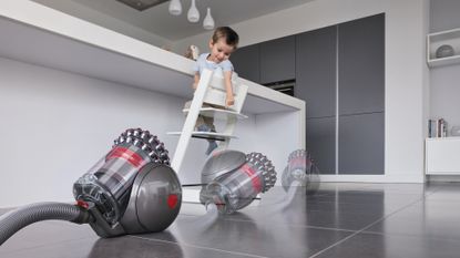 Dyson Big Ball Animal 2 review