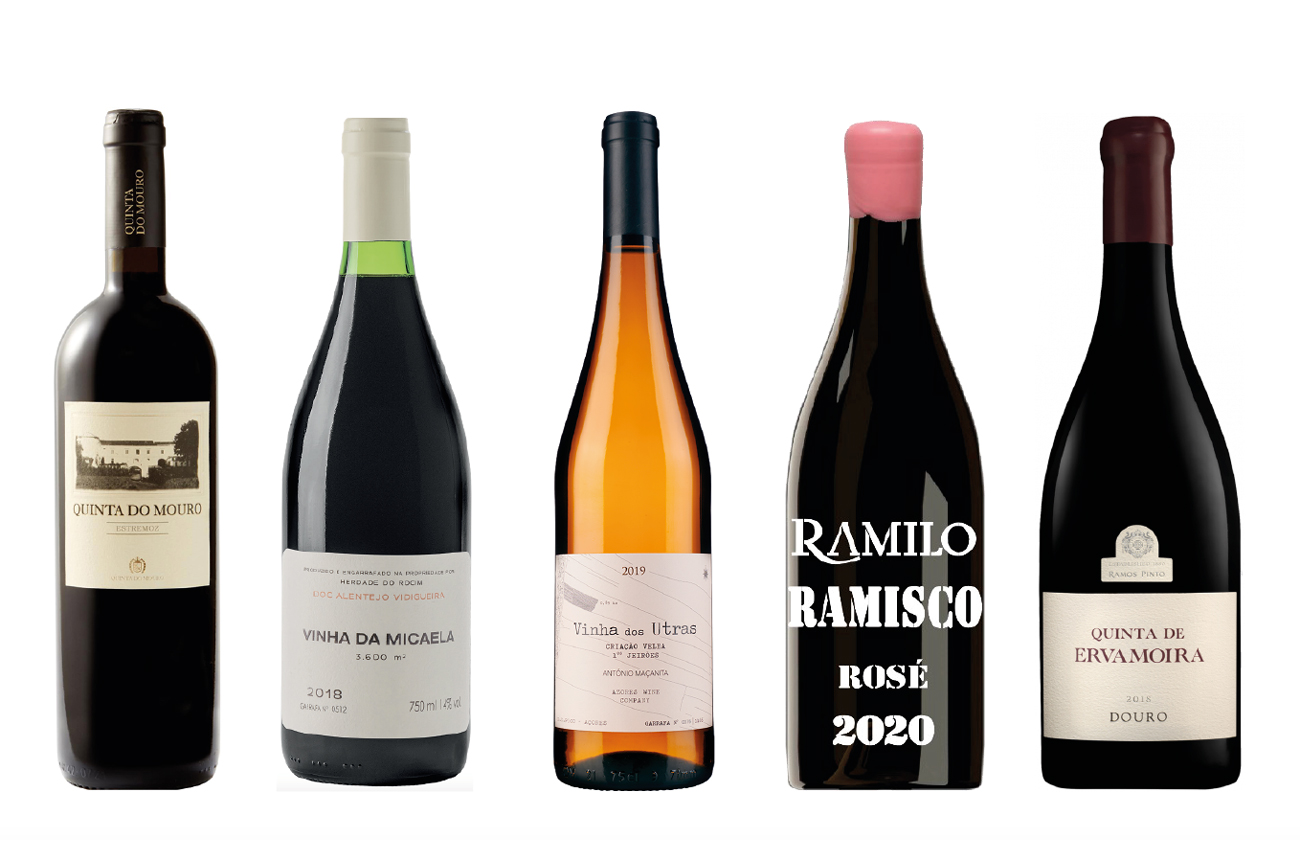 Five wine bottles against a white background