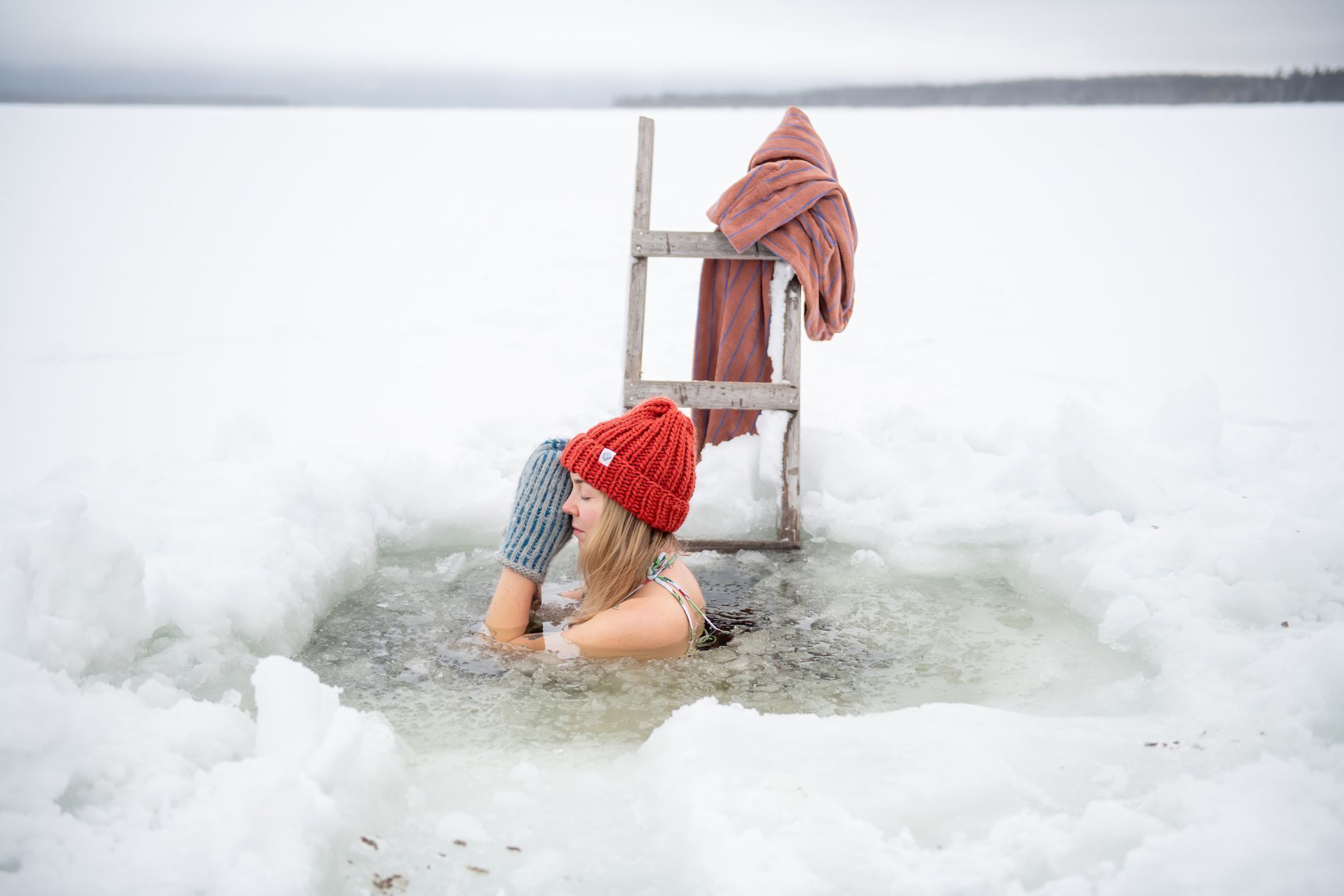 GuruShots - February 2026