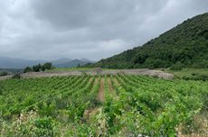 Terrasses du Larzac latest releases