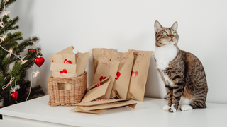 Tabby cat sitting next to a pile of advent calendar envelopes in a basket and a Christmas tree