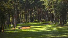 Woburn - Duchess - Hole 2