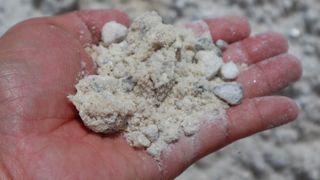 Gypsum in hand