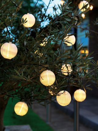 outdoor tree lighting ideas: solar lights