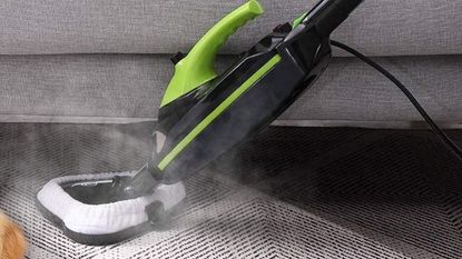 best steam mop