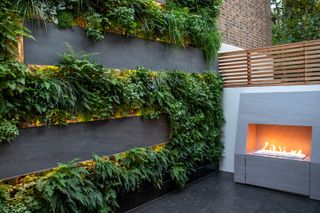 how to make a garden feel modern: living wall