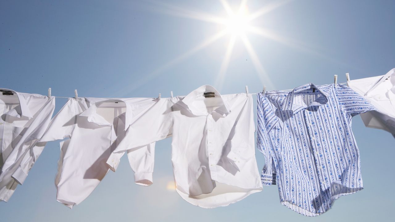 Button down shirts hanging from clothesline outdoors, low angle view - for article on pods vs liquid detergent vs powder