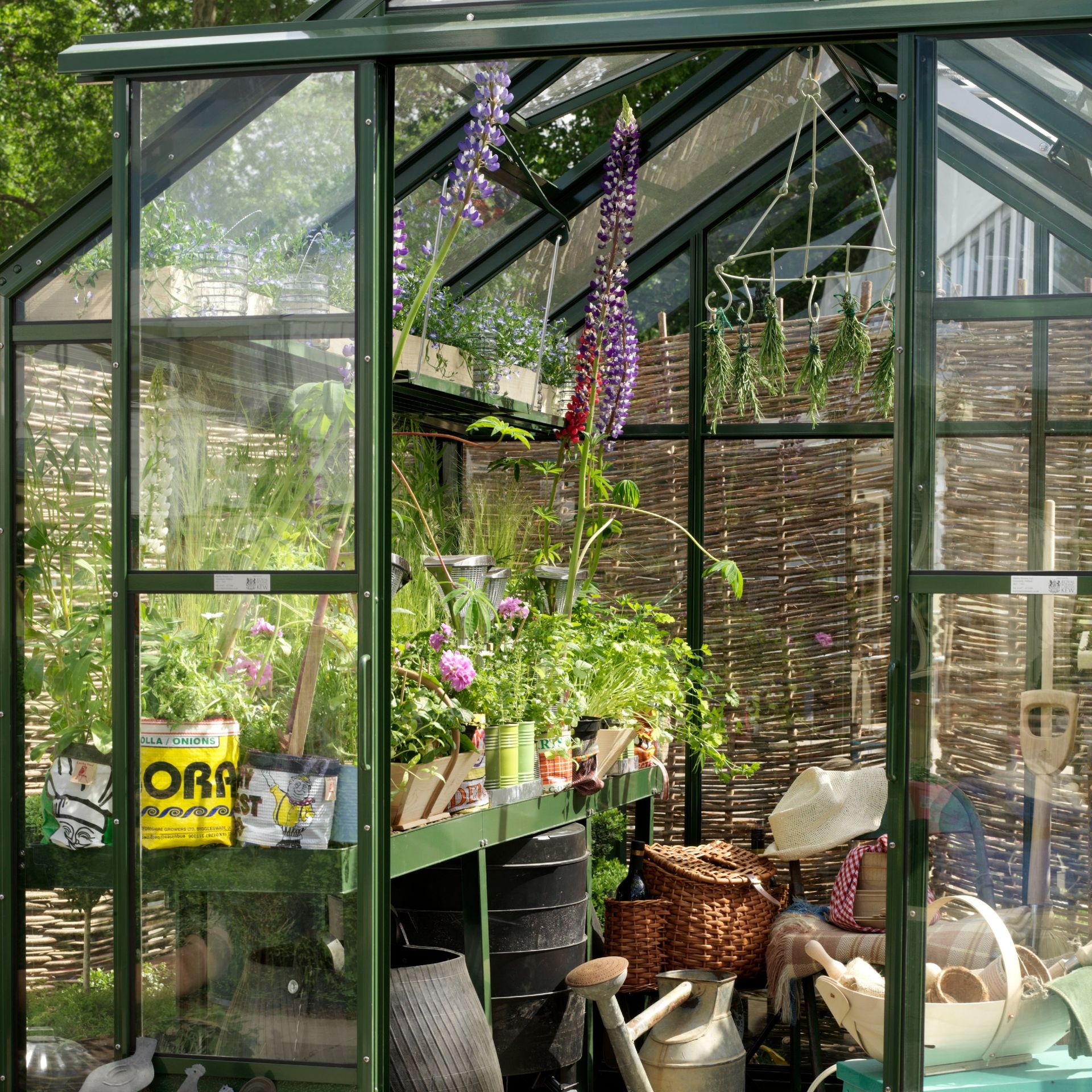 A greenhouse with plants and garden tools.