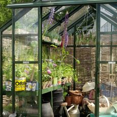 A greenhouse with plants and storing garden tools