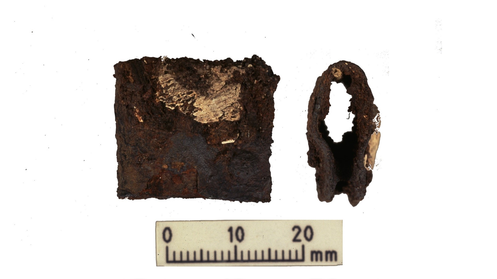 تم العثور على مشبك من درع محارب الفايكنج خلال الحفريات الأصلية في 1998-2000.  تم العثور على المشبك في نفس القبر حيث تم تحليل بقايا الإنسان والحيوان خلال البحث الأخير.
