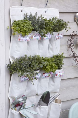 pocket planters used to grow a herb garden on a wall