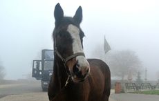 Pilots-arrival-at-The-Horse-Trust.jpg