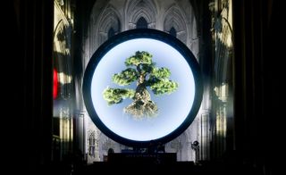 Closer view of the large round light display with an oversized bonsai tree hanging in front at The American Cathedral in Paris