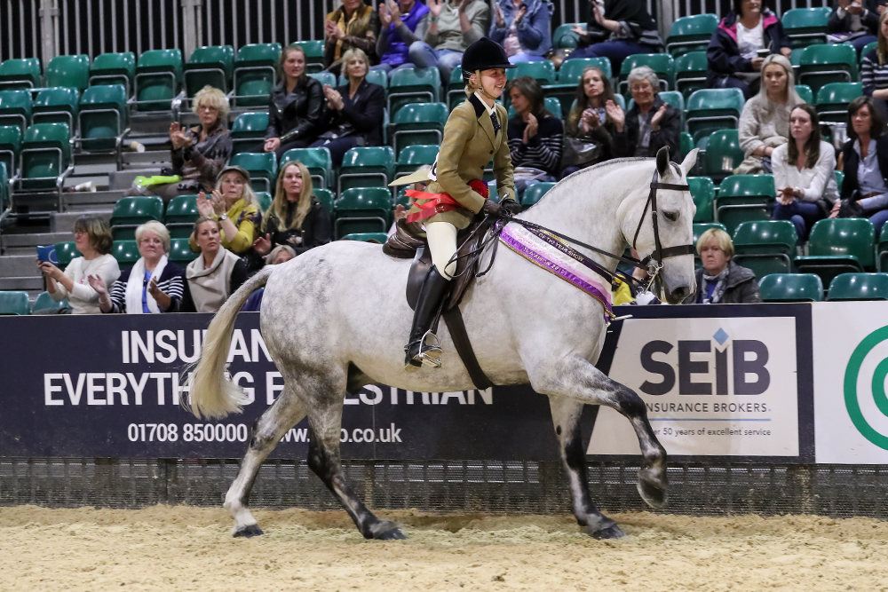 836 Take A Chance On Mr Grey r Charlotte Bunyard cob winner
