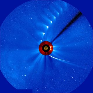 Comet ISON, one of SOHO's most famous observations, is captured in a timelapse in 2013 (ESA/NASA/SOHO)
