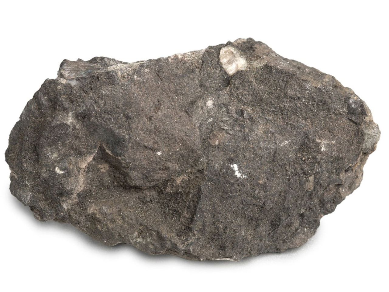 Rock Phosphate