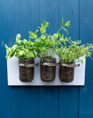 herb garden to mount on a wall