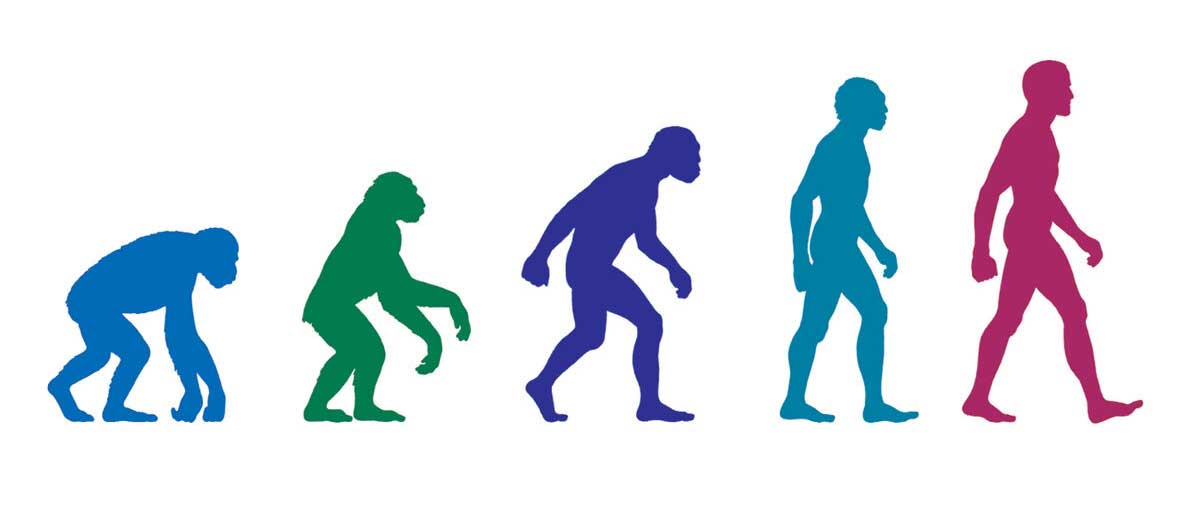 Supertramp: Brother Where You Bound cover art