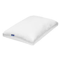 Casper Original Pillow
Was: Now: Saving: