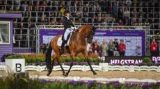 World Dressage Championships results: Cathrine Laudrup-Dufour and Vamos Amigos