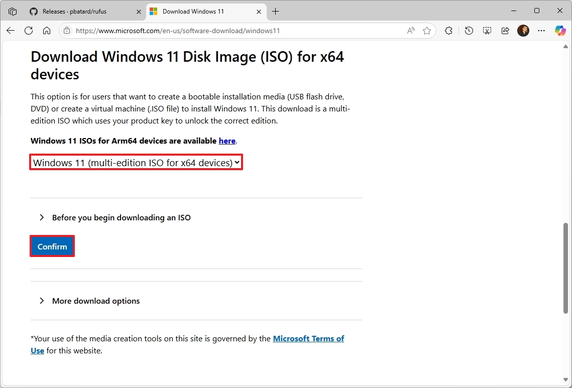 Windows 11 ISO download file