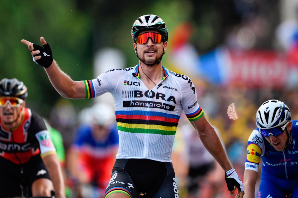 Peter Sagan wins stage 3 at the 2017 Tour de France