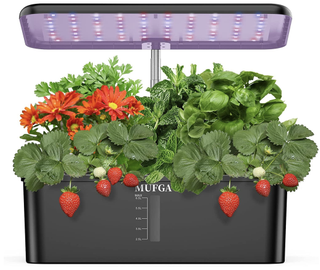 hydroponic garden kit with grow light