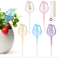 Flower Shape Plant Self Watering Globes, £20.99 at Amazon